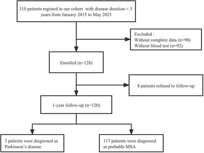 Cystatin C predicts cognitive decline in multiple system atrophy: A 1-year prospective cohort study